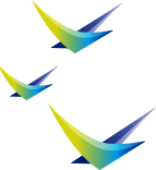 Three birds in gradient blue green yellow